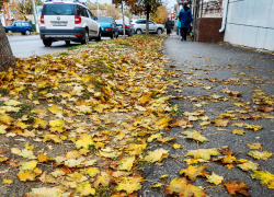 В Камышине будет держаться теплая погода 8 ноября, но ночью пройдет небольшой дождь