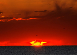 Следователи Камышина провели в селе Таловка Камышинского района осмотр окровавленного трупа