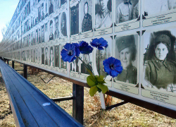 В Камышине решили дополнить фотографиями "Стену памяти" в парке Победы