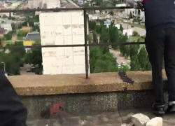 В Камышине пользователи соцсетей выложили жутковатую фотографию с подростками на крыше высотки в 5-м микрорайоне