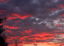 В селе Дворянском Камышинского района свершил суицид мужчина трудоспособного возраста