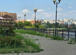 "И как же мне было стыдно за нашу набережную!" - камышане в шоке от заросшего травой города