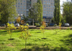 Персональные данные пользователей портала «Госуслуг» становятся легкой добычей мошенников
