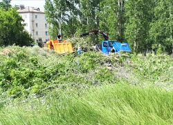 В Камышине около ЦДК "Дружба" установили зарядную станцию для электромобилей - ценой беспощадной вырубки деревьев