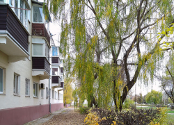 Завтра, 7 ноября, в Камышине отключают электричество в 7 МКД, школе и детсаду