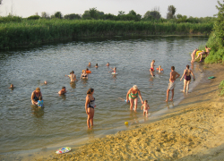 В Камышинском районе самая живописная речка Иловля дождалась своего звездного часа