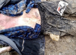 Следователи СК опубликовали фото неопознанного трупа с татуировками в виде тюльпана и чайки, чтобы установить личность погибшего