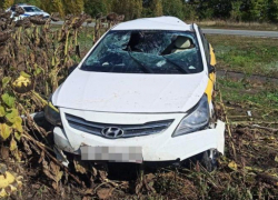 На московской трассе "Солярис" улетел в кювет - весь салон авто отправился на хирургические койки
