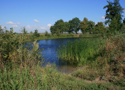 Половину туловища неизвестного мужчины нашли на берегу реки, - "Блокнот Волгограда"