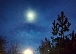 Шок: одурманенный алкоголем ревнивец отрезал ягодицы мертвому предполагаемому сопернику