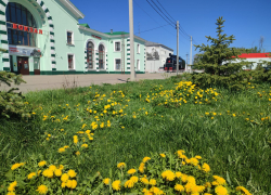 Демонстрация, концерт, пробег тракторов: как отметят 1 Мая в Камышинском районе