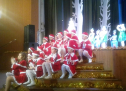 Новогоднее собрание общественности сыграло в игру "И тогда все камышане проснутся миллионерами!"