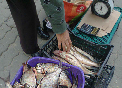 В Волгоградской области в число доходных сфер попали охота и рыболовство