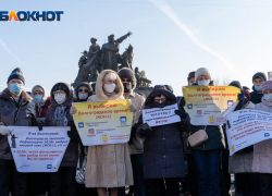 «Солнечное лекарство от коронавируса»: на массовой акции в Волгограде у Путина потребовали сохранения местного времени, - "Блокнот Волгограда"