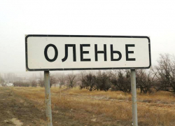 В селе Оленье грузовик "Вольво", следовавший со стороны Камышина, врезался в легковушку, женщина-водитель обратилась в больницу