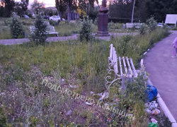 В Камышине сквер Александра Невского на 3-м городке зарастает сорняками, - камышанка