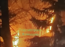 В соцсетях появился слух о корпоративе, из-за которого произошел пожар в здании текстильного предприятия в Камышине