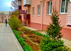Администрация Камышина освободила застройщиков многоквартирных домов от арендной платы за землю, сколько домов возводится  - неизвестно