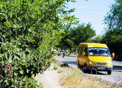 Муниципальная автоколонна Камышина сократила маршрут №7