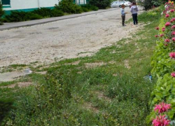 Почему в Камышине суд отменил наказание административной комиссии для собственницы авто, припарковавшегося на "зеленой зоне" 