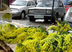 7 градусов тепла обещают синоптики камышанам 7 марта