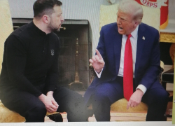 Депутат камышан в Госдуме Алексей Волоцков назвал европейских лидеров пациентами "соседней с Зеленским палаты психдиспансера"