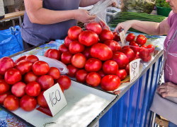 Помидоры в Камышине "застыли" в цене
