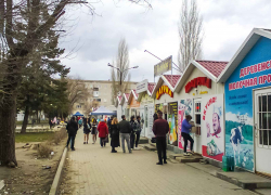 Администрация Камышина как следует нагрузила предпринимателей поручениями по уборке