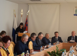 На заседании Камышинской думы "сгустился туман" вокруг сэкономленных миллионов на школе и опозданий с финансированием питания в детсадах