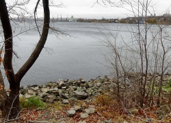 Сразу четыре "желтых" уровня погодной опасности ввели в Волгоградской области 