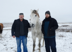 "Я из Германии уехал, наверное, из-за лошадей", -  признается фермер из  Камышинского района Андрей Липпардт