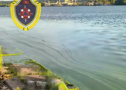 Утопленника подняли на берег Камышинки в центре города сегодня, 28 августа