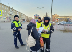 В Камышине сотрудники Госавтоинспекции вышли на прямой диалог с пешеходами