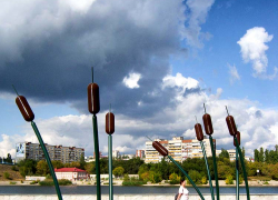 Неделю дождей спрогнозировали синоптики для Камышина