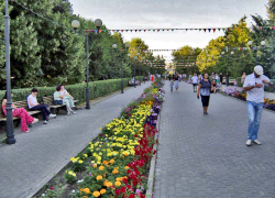 Зарплата айтишников продолжает расти в Волгоградской области