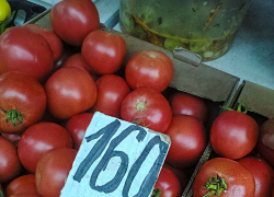 В Волгоградской области сильно подорожали все основные продукты: больше всего — яйца и помидоры 