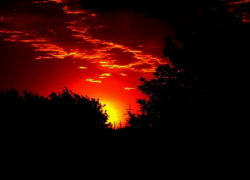 На полигоне под Камышином погиб десантник-контрактник 56-й ОДШБР