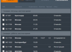 Камышане застряли у трапа - из-за сильного тумана залихорадило волгоградский аэропорт