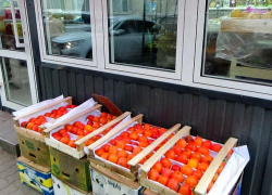 В Камышине самая дешевая из южных фруктов хурма тоже пошла в рост по цене