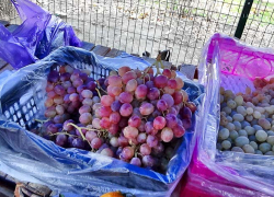 В Камышине уличные рынки завалили "новогодним" виноградом