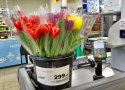 В Камышине магазины-сетевики "затарились" живыми тюльпанами перед Днем всех влюбленных