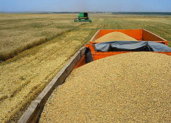 Андрей Бочаров объявил о сборе 5 млн тонн волгоградского зерна