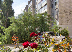 Пресс-служба губернатора рассказала, что в Камышине отремонтирована только треть подъездов из плана на 2024 год