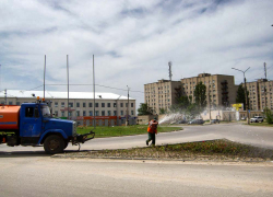 В Камышине озеленители высадили цветочную рассаду и начали ее полив