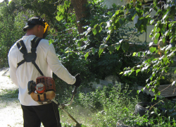 После публикации "Блокнота Камышина" на втором участке города появились "косари"