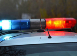 На московской трассе грузовик "Мерседес" столкнул в лесополосу грузовик "МАН" - водитель у хирургов