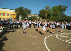 Причиной шокирующей смерти ученицы школы №8 Камышина официальные структуры пока называют отравление неизвестным веществом 