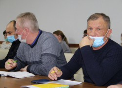 Какие политические выборы предстоят камышанам в 2022 году