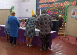 Число проголосовавших за новых сельских глав в Саломатино и Семеновке в Камышинском районе увеличилось в два с половиной раза