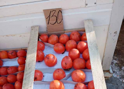 На камышинских рынках продавцами используется только половина торговых мест